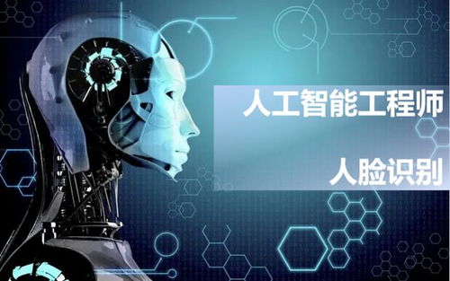 職業(yè)體驗(yàn) 云游一夏，探索人工智能應(yīng)用軟件開發(fā)的無限魅力